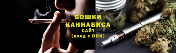 ПСИЛОЦИБИНОВЫЕ ГРИБЫ Балахна