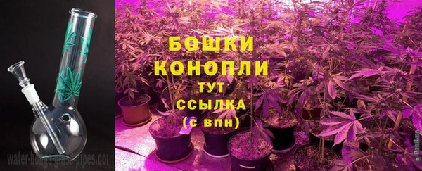 ПСИЛОЦИБИНОВЫЕ ГРИБЫ Балахна