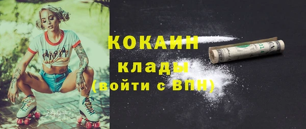 твердый Аркадак