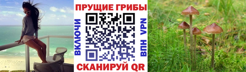 Псилоцибиновые грибы Magic Shrooms купить наркотик Лукоянов